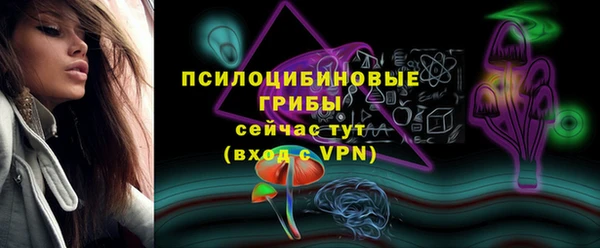 индика Аркадак