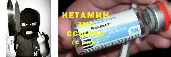 индика Аркадак