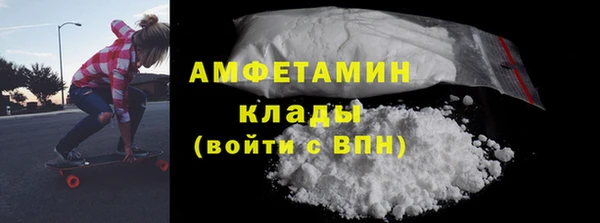 индика Аркадак