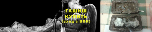 индика Аркадак