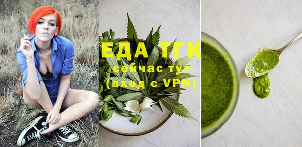 индика Аркадак