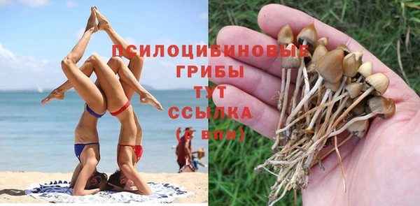 соль курить ск Арсеньев